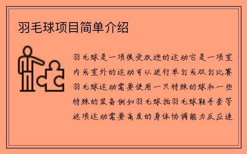 羽毛球项目简单介绍